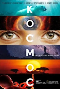 Космос: Пространство и время бесплатно
