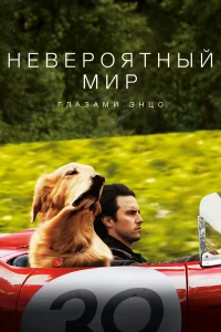 Невероятный мир глазами Энцо бесплатно
