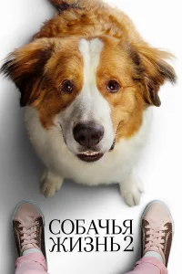 Собачья жизнь 2 бесплатно